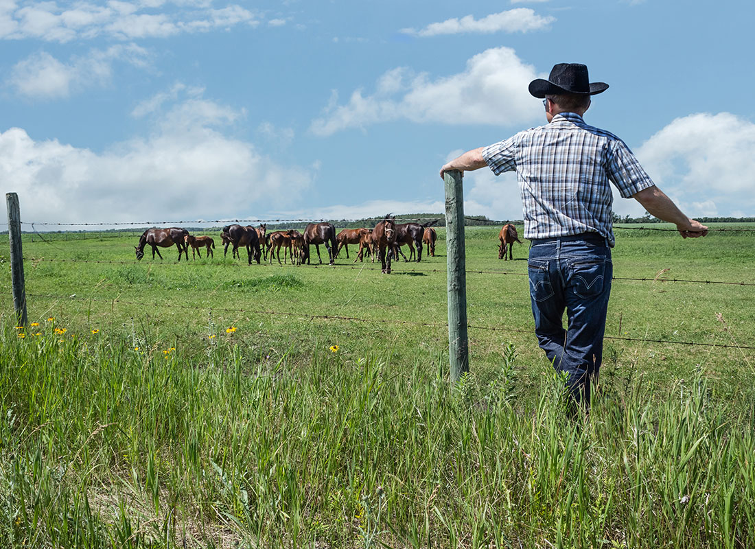 Insurance by Industry - Cattle Farmer Standing by Fence as He Looks at His Herd